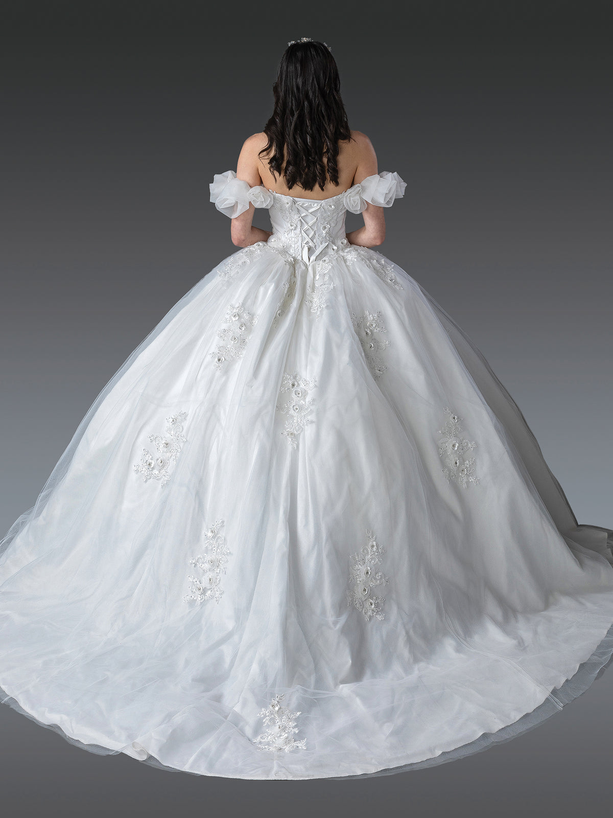 Dancing Queen 0278 wedding dress in off white, back view