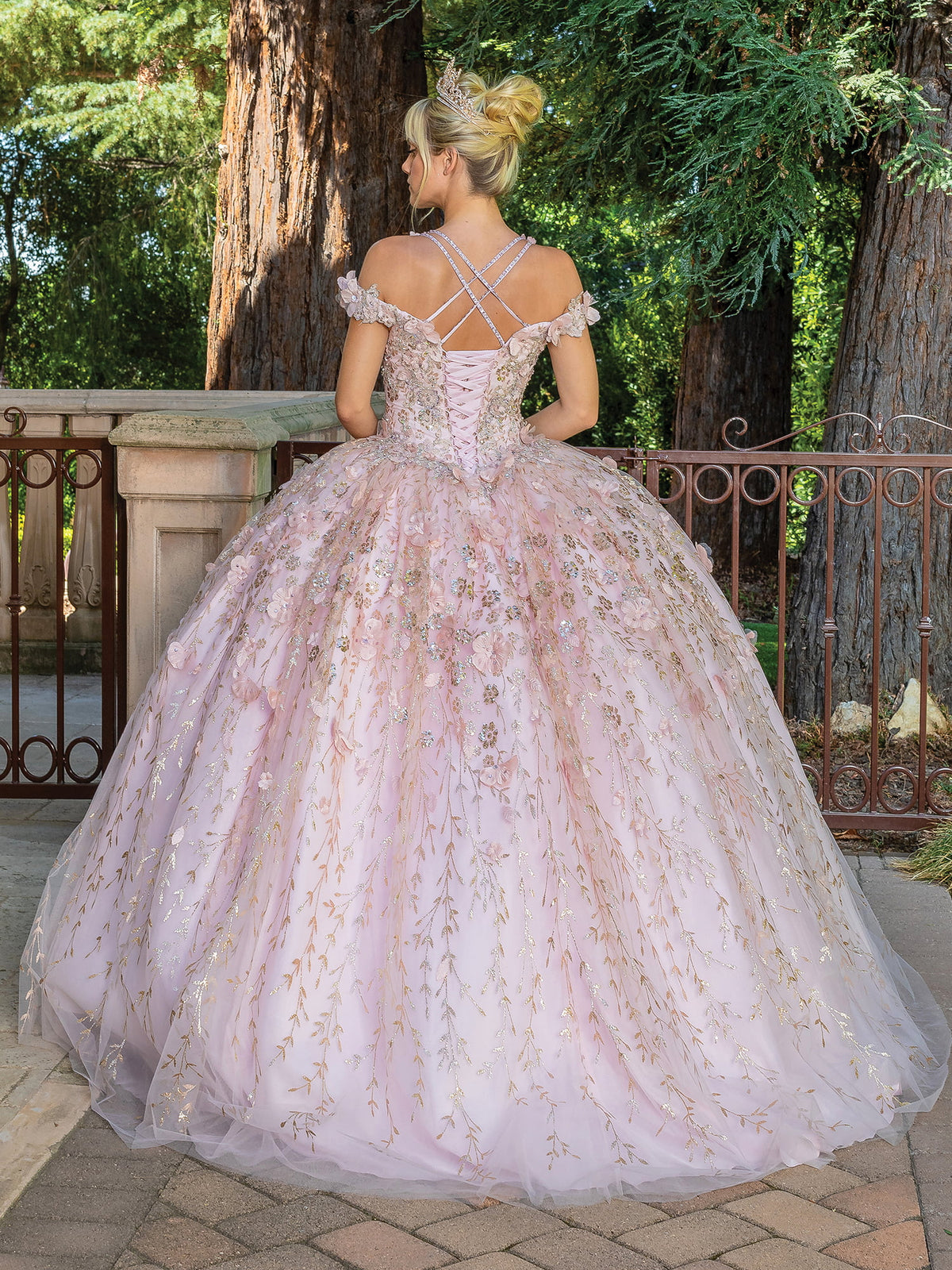 Dancing Queen 1640 quinceanera dress in blush, back view