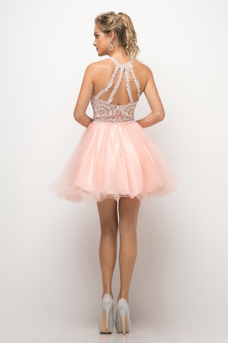 Quest in Blush — view 6