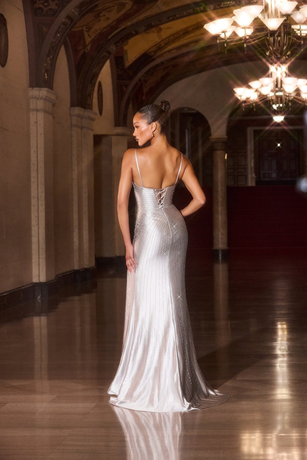 Tinsley — Silver dress