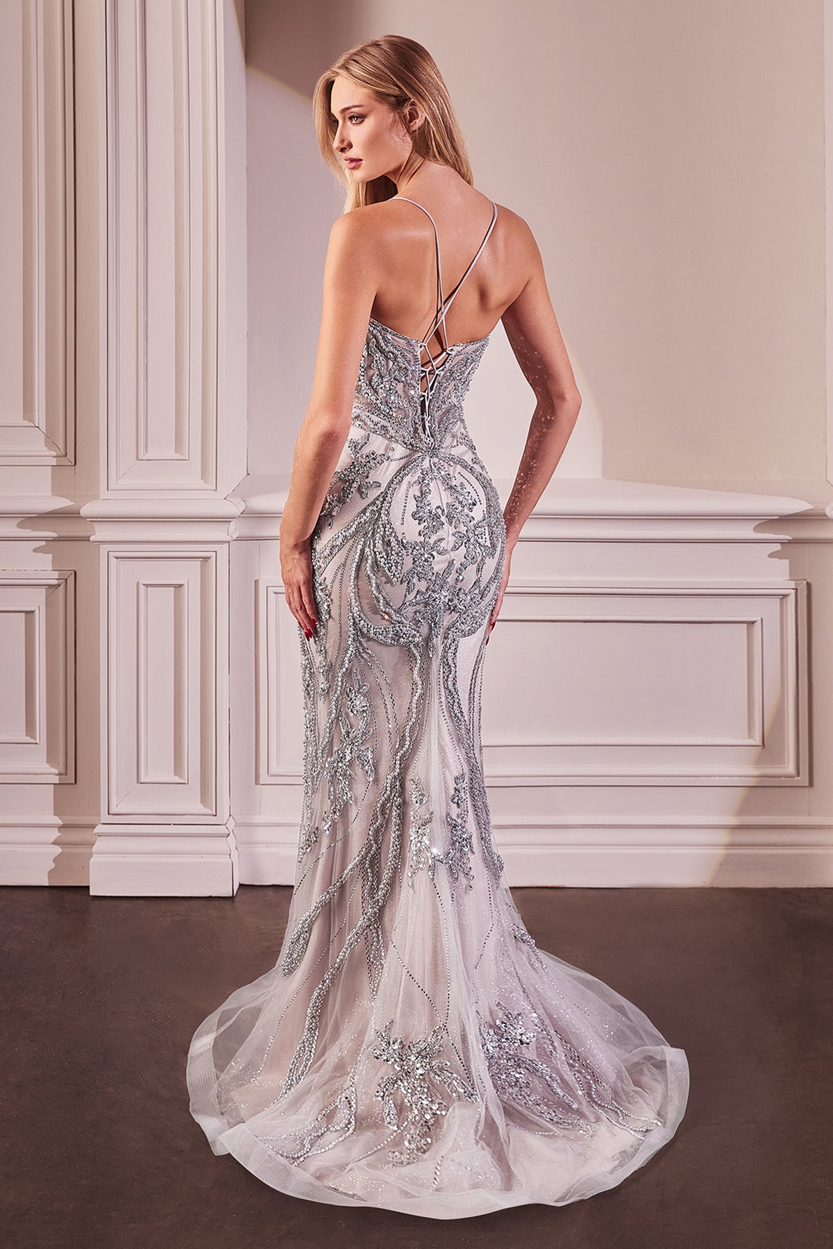 Eclipse — Silver/Nude dress