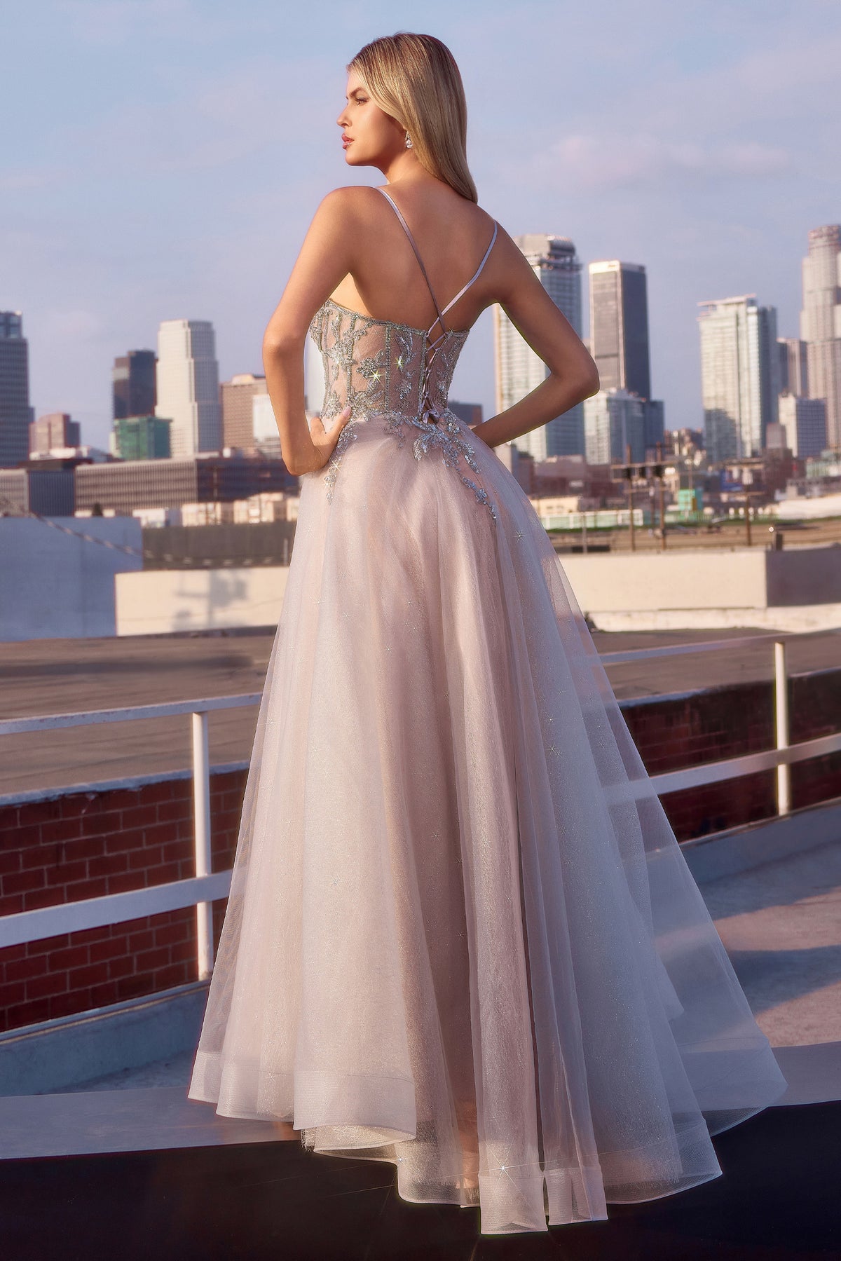 Carli — Silver/Nude dress