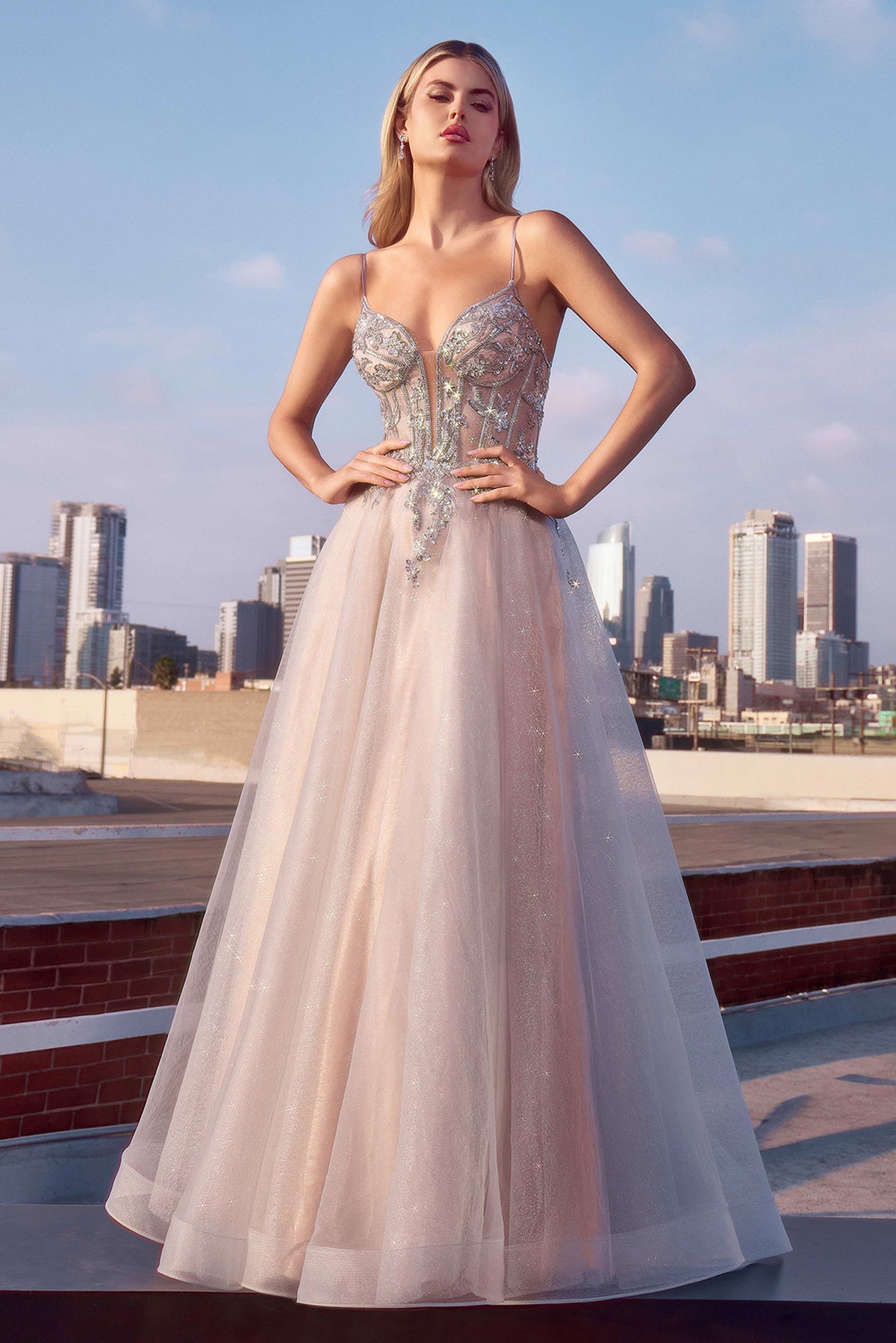 Carli — Silver/Nude dress