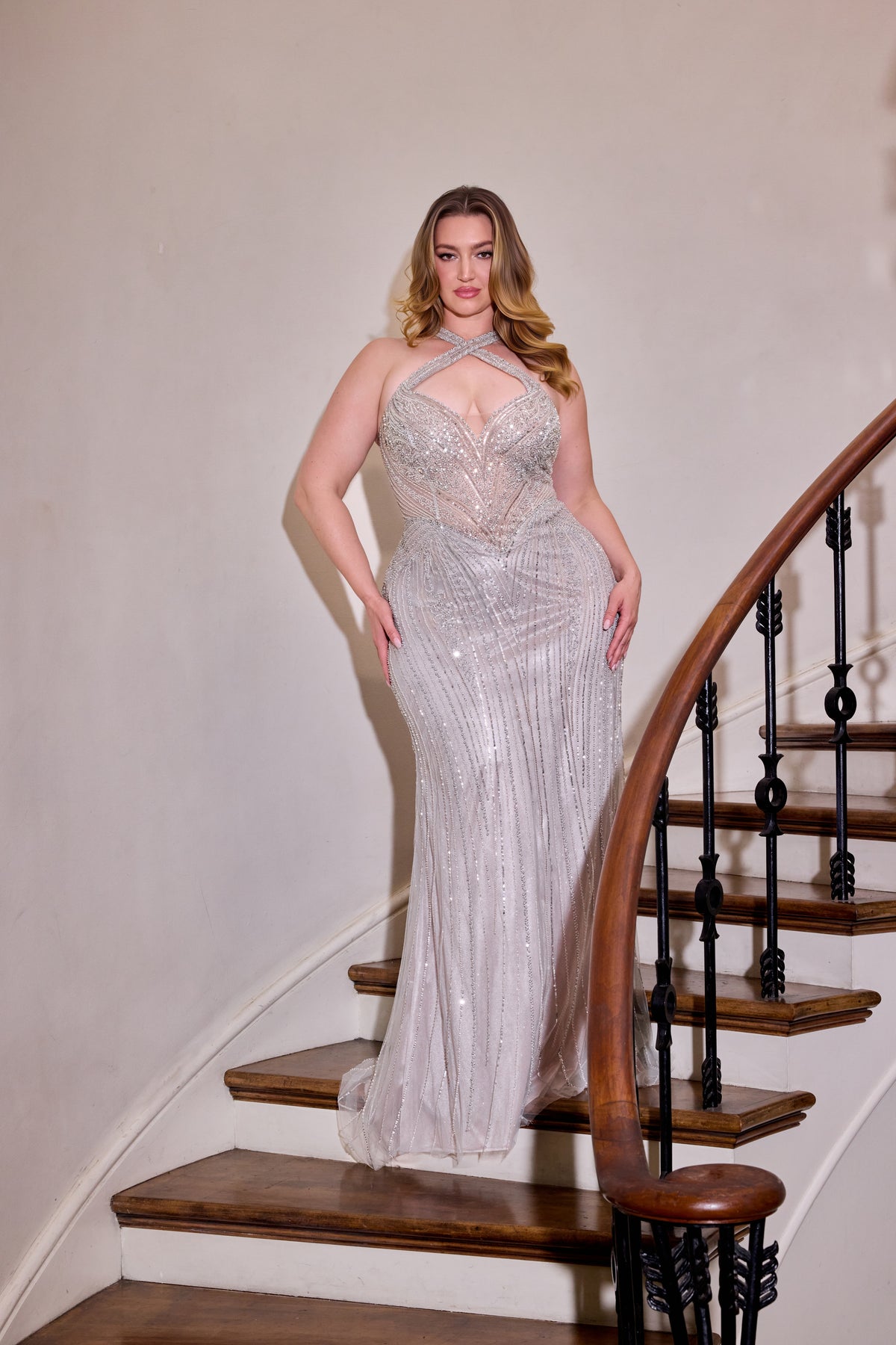 Aime Curve — Silver/Nude dress