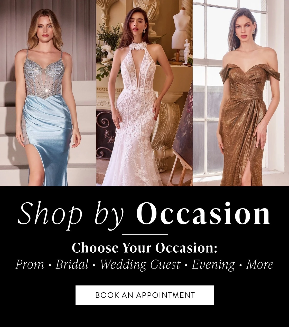 Shop by Occasion